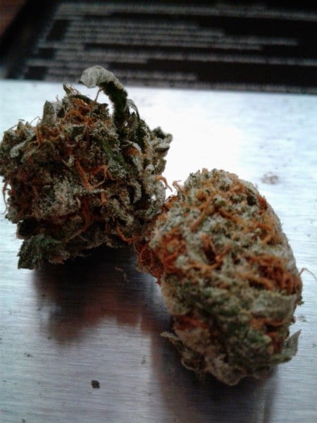 Buy Bubba Kush Marijuana Strain online