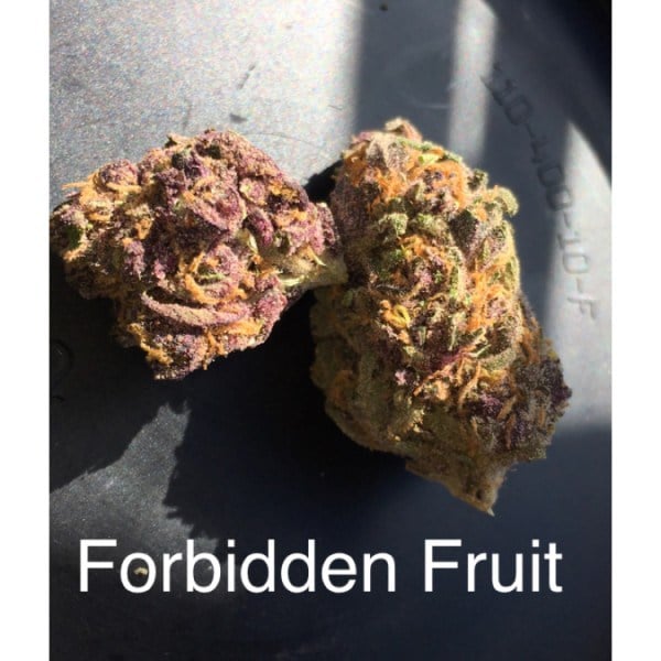 Buy Forbidden Fruit Marijuana Strain online, forbidden fruit strain price