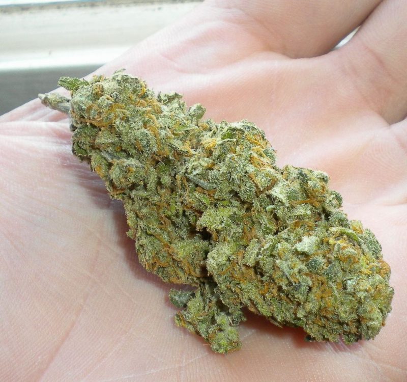 Buy Green crack marijuana strain Online