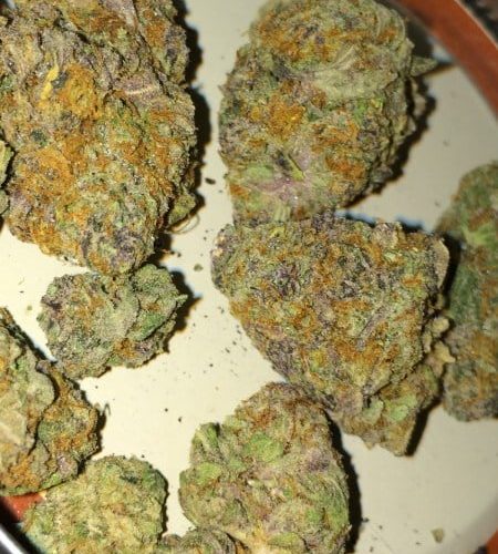 Buy Platinum Girl Scout Cookies Cannabis